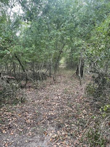 Tbd Donahoe Road Bartlett TX 76511