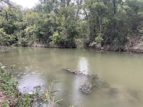 Tbd Donahoe Road Bartlett TX 76511