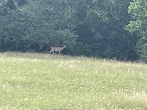 Tbd Donahoe Road Bartlett TX 76511