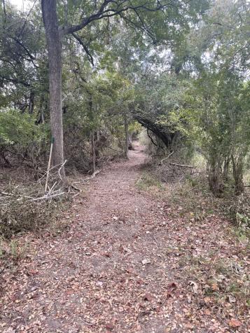 Tbd Donahoe Road Bartlett TX 76511
