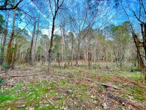 1-1-31 Texas Grand Road Huntsville TX 77340
