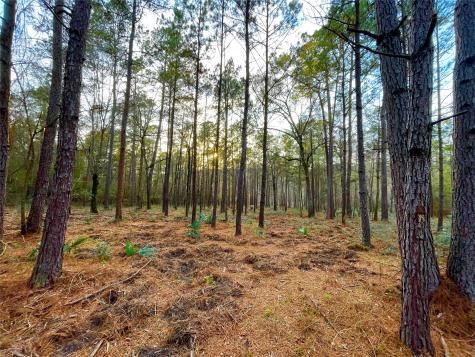 1-1-31 Texas Grand Road Huntsville TX 77340