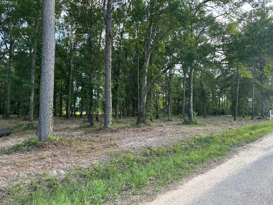 Tract 1-000 Tbd Blackburn Drive Splendora TX 77372