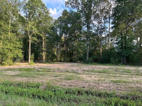 Tract 1-000 Tbd Blackburn Drive Splendora TX 77372