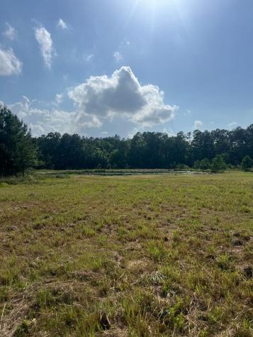 Tract 1-000 Tbd Blackburn Drive Splendora TX 77372