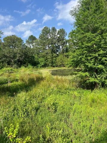 Tract 1-000 Tbd Blackburn Drive Splendora TX 77372