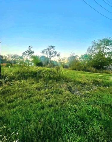 1312 Maley Road Cove TX 77523