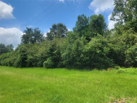 00 Farm Pasture Road Shepherd TX 77371