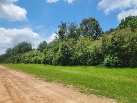 00 Farm Pasture Road Shepherd TX 77371