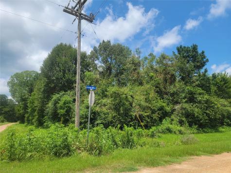 00 Farm Pasture Road Shepherd TX 77371