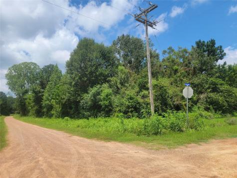 00 Farm Pasture Road Shepherd TX 77371