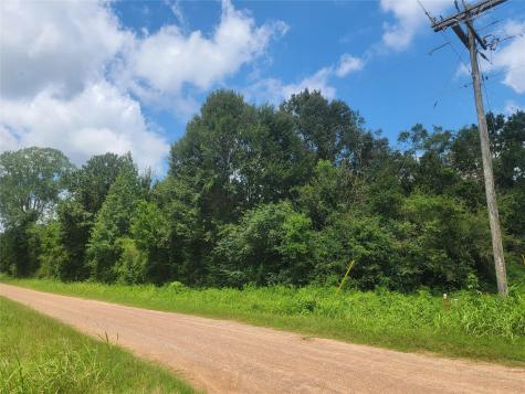00 Farm Pasture Road Shepherd TX 77371