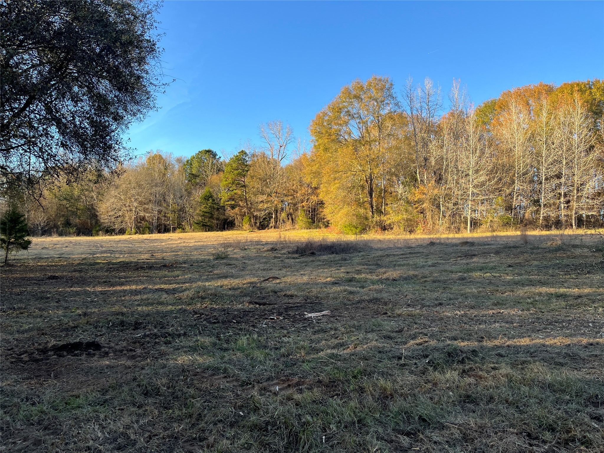 87 Acres State Highway 135 Jacksonville TX 75766