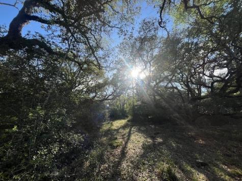 1600 County Road 121 Garwood TX 77460