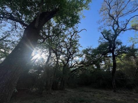 1600 County Road 121 Garwood TX 77460