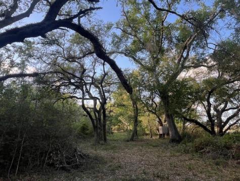1600 County Road 121 Garwood TX 77460