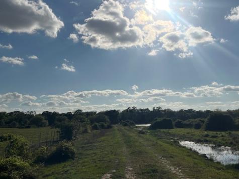1600 County Road 121 Garwood TX 77460
