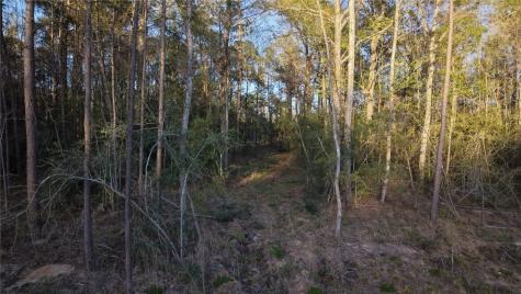 186 Bunkhouse Road New Waverly TX 77358