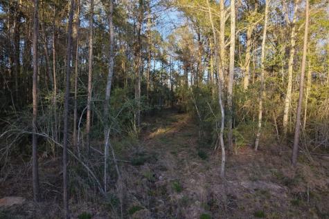 186 Bunkhouse Road New Waverly TX 77358