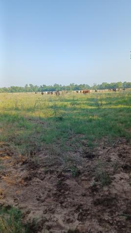 1479 Holman Road Road Burkburnett TX 76354