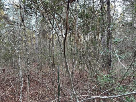 621 County Road 617 Nacogdoches TX 75964