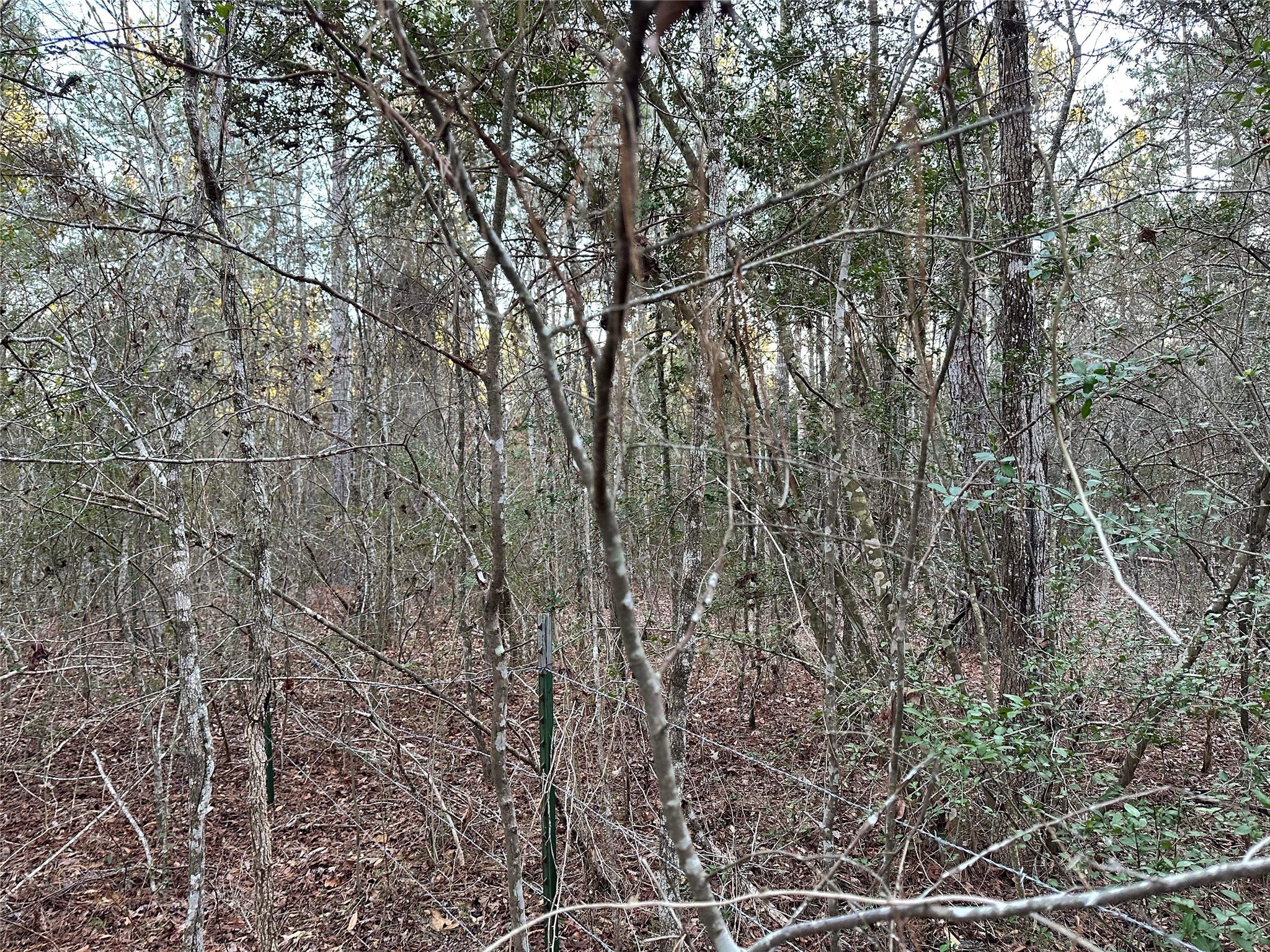 621 County Road 617 Nacogdoches TX 75964
