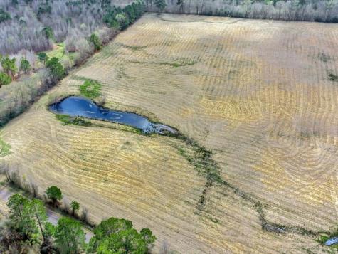 L28104 Gilliland Creek Road Huntington TX 75949