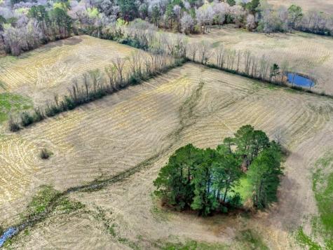 L28104 Gilliland Creek Road Huntington TX 75949