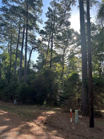 303132 Oak Pine Drive Livingston TX 77351