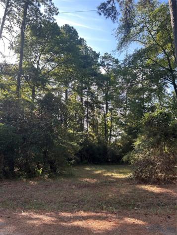 303132 Oak Pine Drive Livingston TX 77351