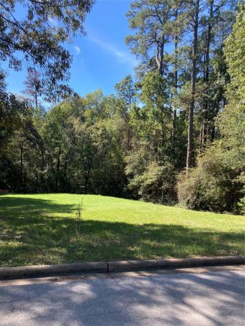 3348 Knob Oaks Drive Huntsville TX 77340