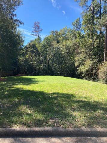 3348 Knob Oaks Drive Huntsville TX 77340