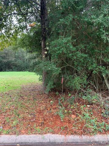 3348 Knob Oaks Drive Huntsville TX 77340