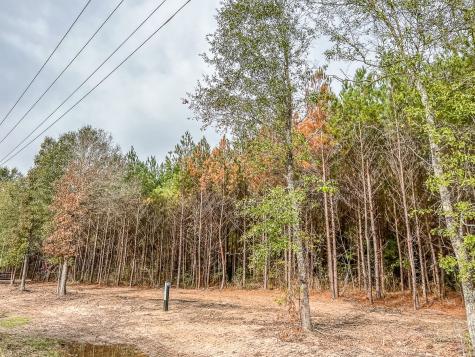 00 Cr 2307 Moss Hill TX 77327