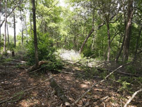 Tbd 2 Tx-146 Livingston TX 77351