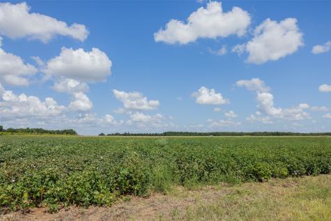000 Fm 50 Snook TX 77878