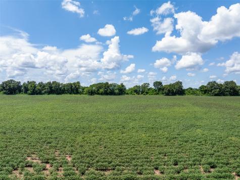 000 Fm 50 Snook TX 77878
