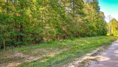 Tbd 28 Timbergrove Livingston TX 77351