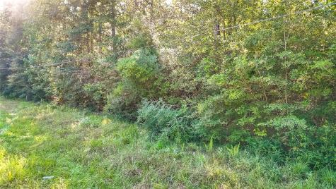 Tbd 28 Timbergrove Livingston TX 77351