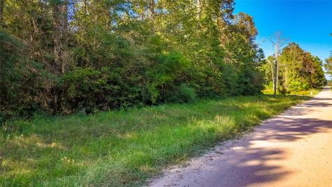Tbd 28 Timbergrove Livingston TX 77351