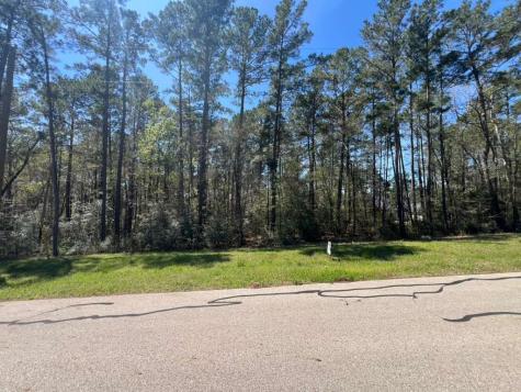 0 Sandpiper Drive New Waverly TX 77358
