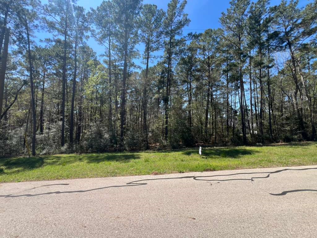 0 Sandpiper Drive New Waverly TX 77358