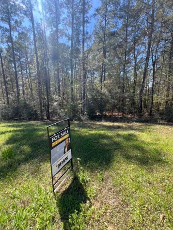 0 Sandpiper Drive New Waverly TX 77358