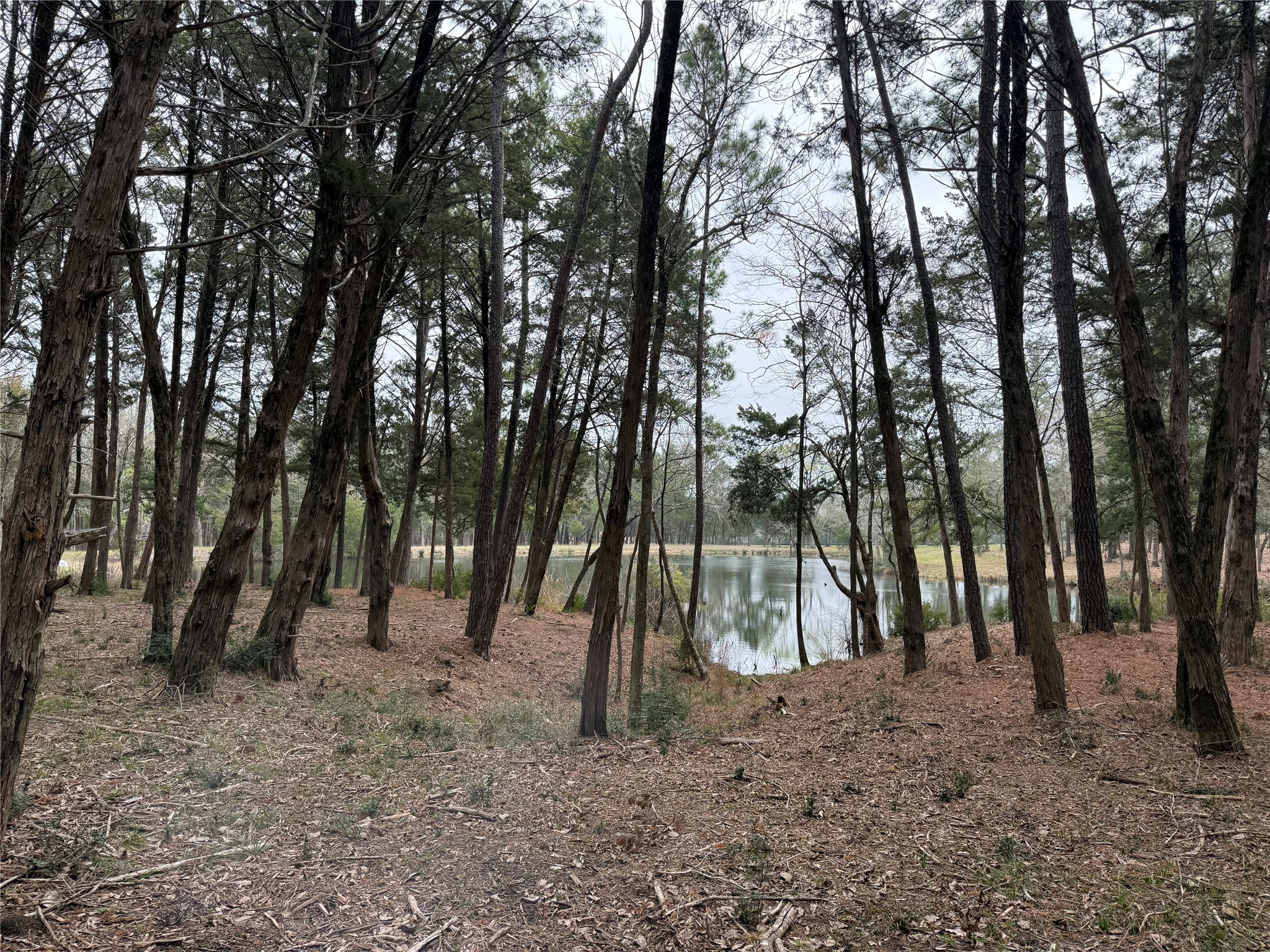Lot 7 Block 2 Evergreen Hill Lane Willis TX 77378