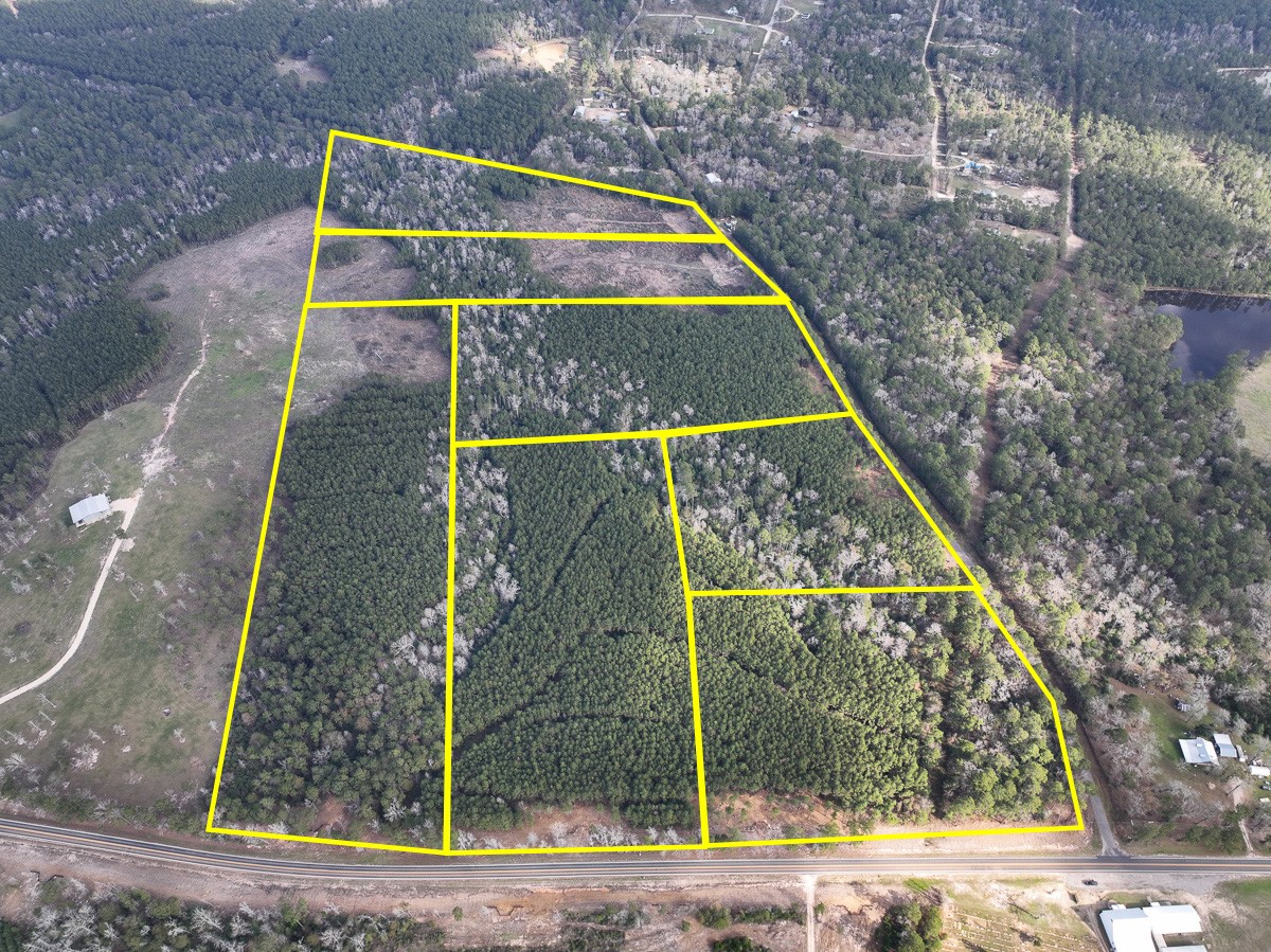 01 Fm 350 Livingston TX 77351