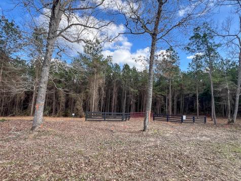 01 Fm 350 Livingston TX 77351