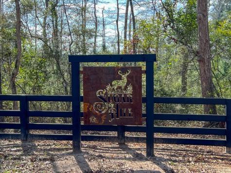 01 Fm 350 Livingston TX 77351