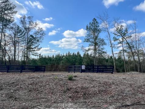 01 Fm 350 Livingston TX 77351