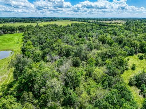 Tbd County Road 132 Bedias TX 77831