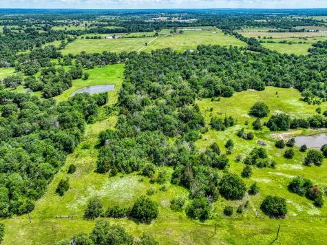 Tbd County Road 132 Bedias TX 77831